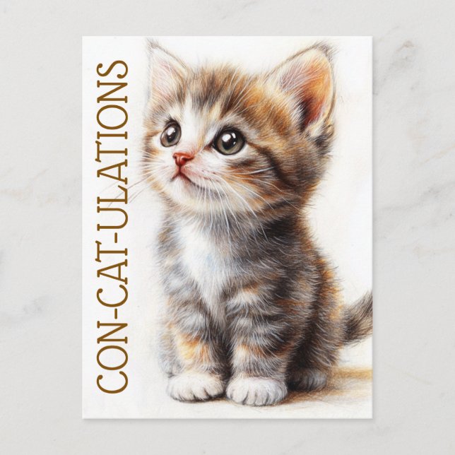 Carte Postale Con-Cat-Ulations, Chat, Chaton, Minou, Félicitatio (Devant)