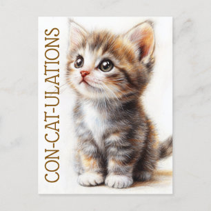 Carte Postale Con-Cat-Ulats, Chat, Chaton, Kitty, Félicitations
