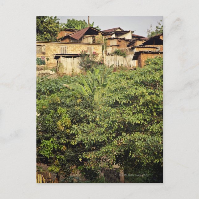 Carte Postale Concentrez-vous sur les arbres de premier plan. Vi (Devant)