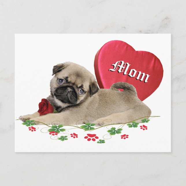 Carte Postale Conception adorable de maman Carlin (Devant)