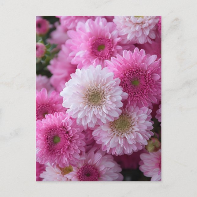 Carte Postale Conception artistique MS (Devant)