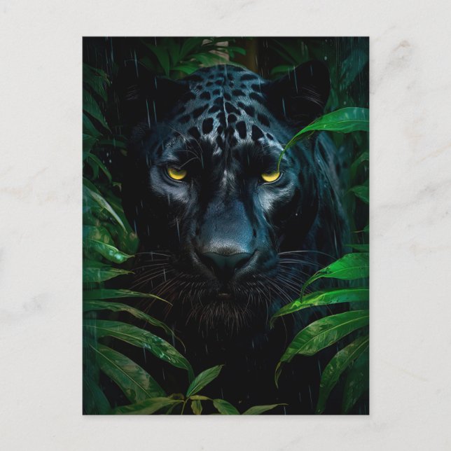 Carte Postale Conception de faune de jungle de panthère noire my (Devant)