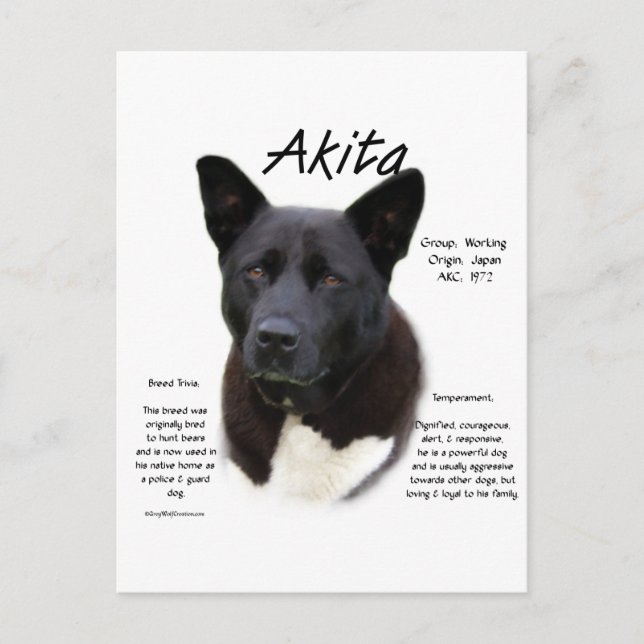 Carte Postale Conception de l'histoire Akita noire (Devant)