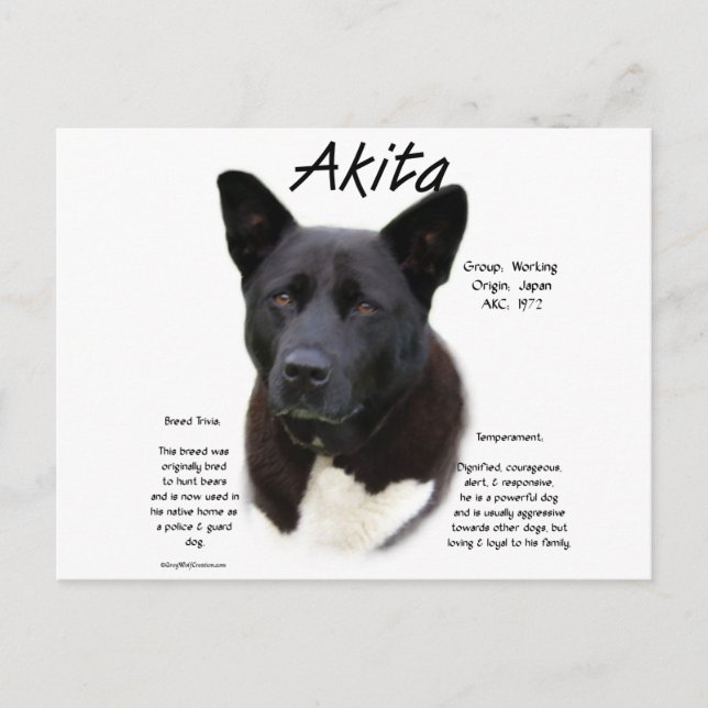Carte Postale Conception de l'histoire Akita noire (Devant)
