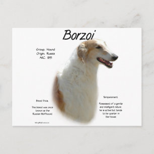 Carte Postale Conception de l'histoire de Borzoi