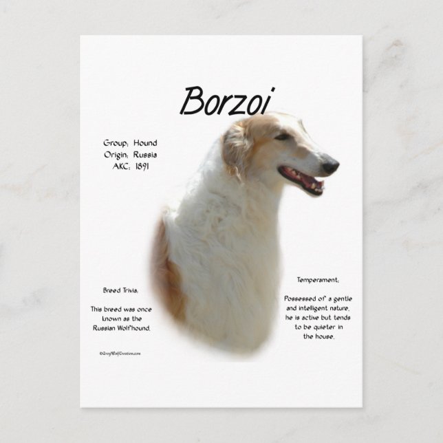 Carte Postale Conception de l'histoire de Borzoi (Devant)