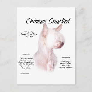 Carte Postale Conception de l'histoire de la crête chinoise (san