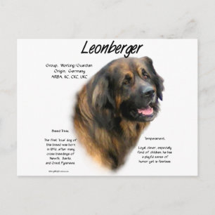 Carte Postale Conception de l'histoire de Leonberger