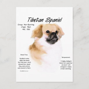 Carte Postale Conception de l'histoire de l'Espagne tibétaine