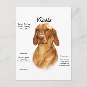Carte Postale Conception de l'histoire de Vizsla