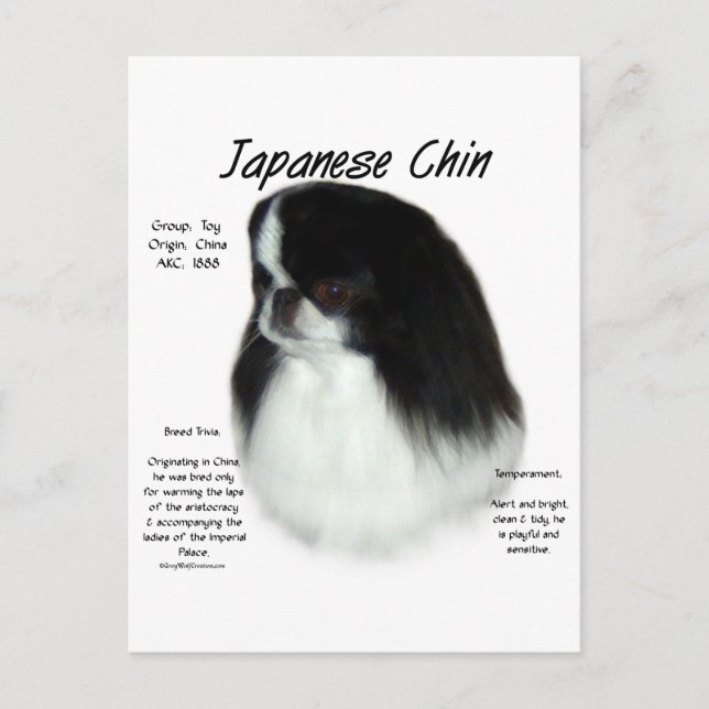 Carte Postale Conception de l'histoire du chinois japonais (Devant)