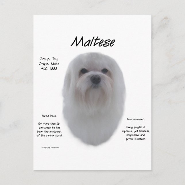 Carte Postale Conception de l'histoire maltaise (Devant)