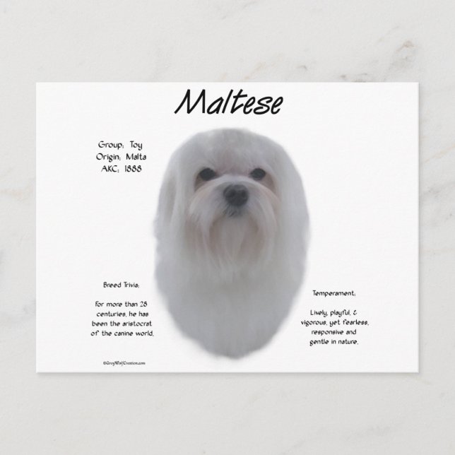 Carte Postale Conception de l'histoire maltaise (Devant)