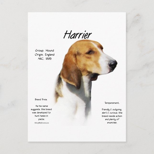 Carte Postale Conception de l'historique du harceleur (Devant)