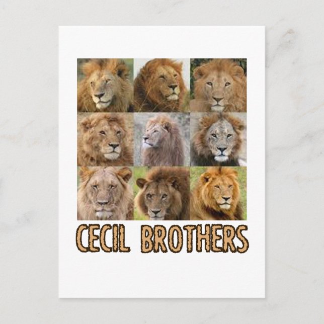 Carte Postale Conception de Lion cool (Devant)
