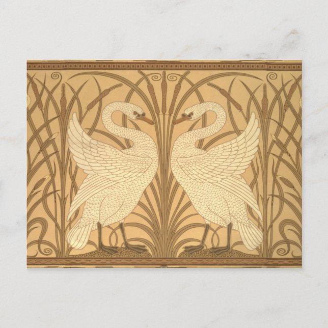Carte Postale Conception de papier peint de cygne (Devant)