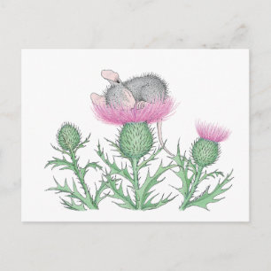 Carte Postale Conception de souris -