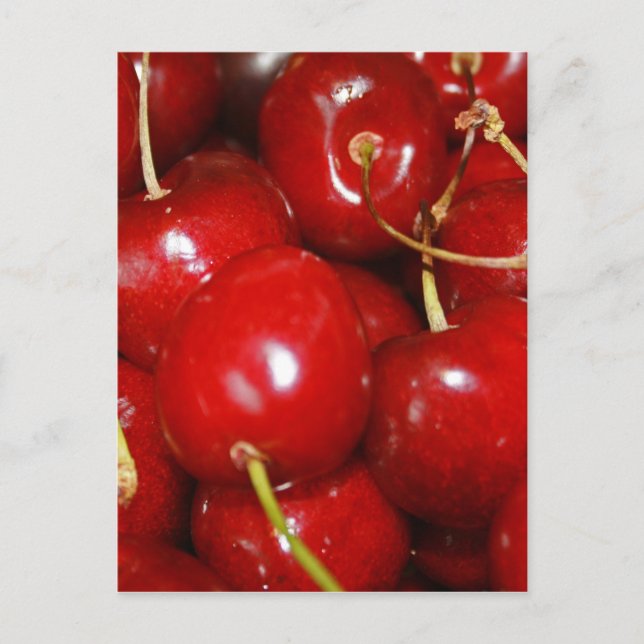 Carte Postale Conception des cerises (Devant)