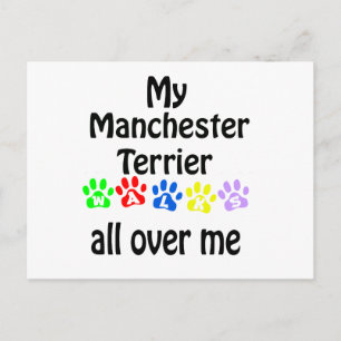 Carte Postale Conception des marches de Manchester Terrier