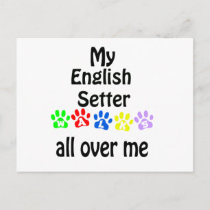 Carte Postale Conception des marches de Setter Anglais
