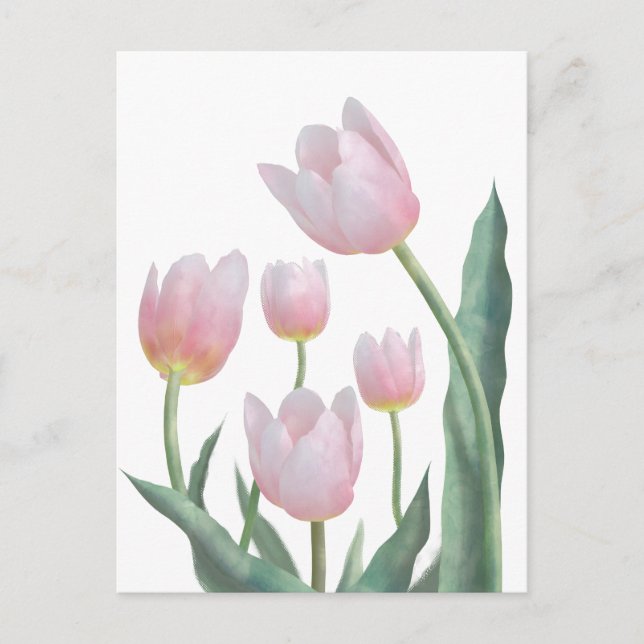 Carte Postale Conception florale de tulipes pastel (Devant)