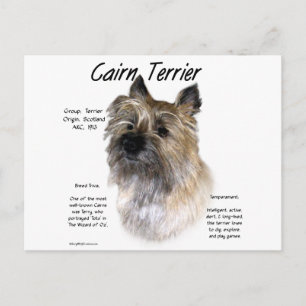 Carte Postale Conception historique de Cairn Terrier
