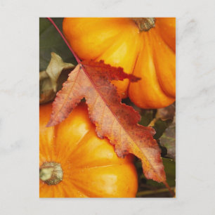 Carte Postale Conception novembre