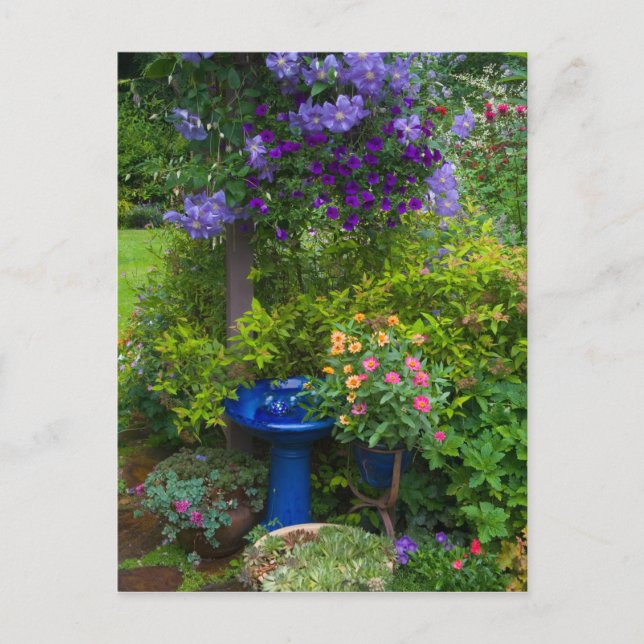 Carte Postale Conceptions de jardin dans notre Jardin Sammamish, (Devant)