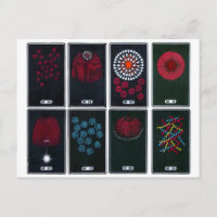 Conceptions graphiques abstraites de feux d'artifi