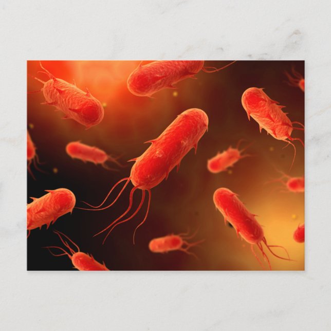 Carte Postale Conceptual Image Of Flagellate Bacterium 1 (Devant)