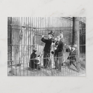 Carte Postale Concert Pour Ours Polaires, 1925