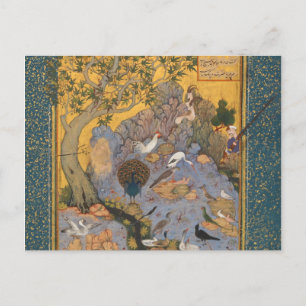 Carte Postale Concours Des Oiseaux Par Habiballah De Sava