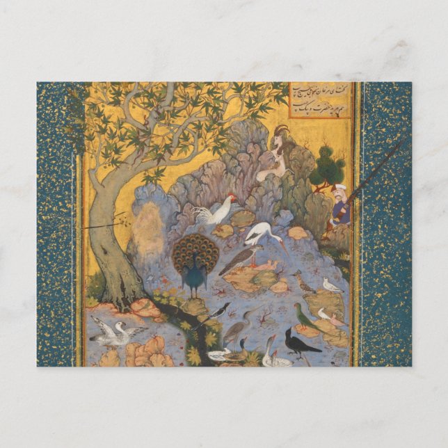 Carte Postale Concours Des Oiseaux Par Habiballah De Sava (Devant)