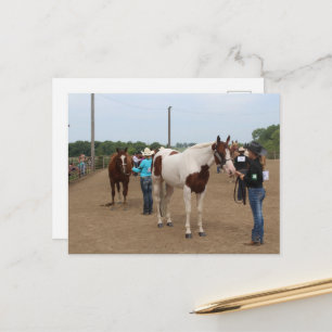 Carte Postale Concours Hippique Présentation des Paints et Quart