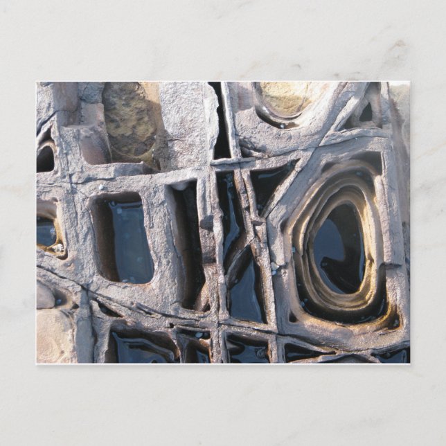 Carte Postale Concrétions en boîte sur la tête de guêpe (Devant)