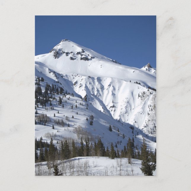 Carte Postale conduite au colorado (Devant)