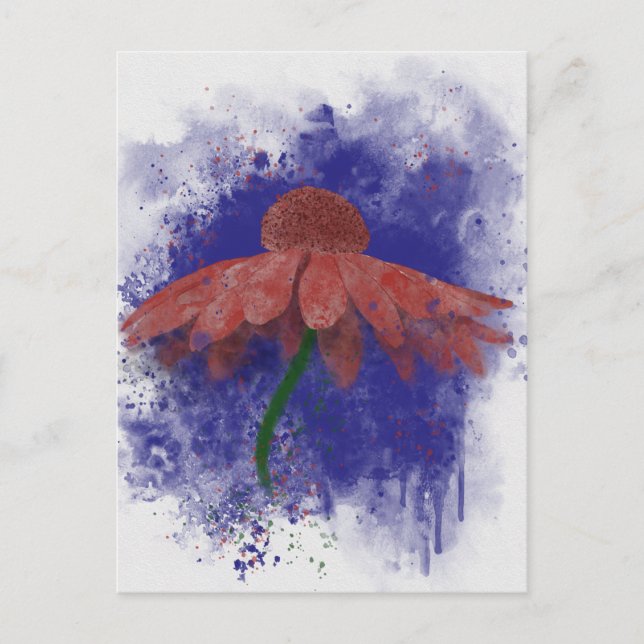 Carte Postale Coneflower (Devant)