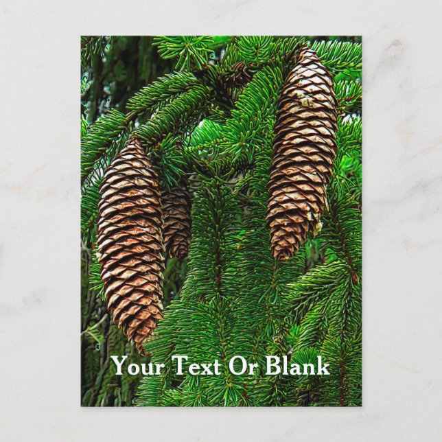 Carte Postale Cônes Et Aiguilles (Devant)