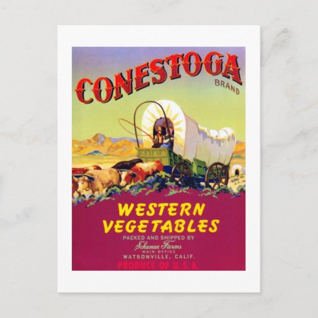 Carte Postale Conestoga Western Vegetables (Devant)