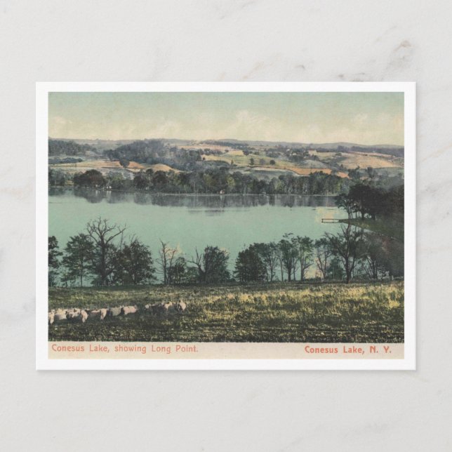 Carte Postale Conesus Lake NY, Long Point View 1905 (Devant)