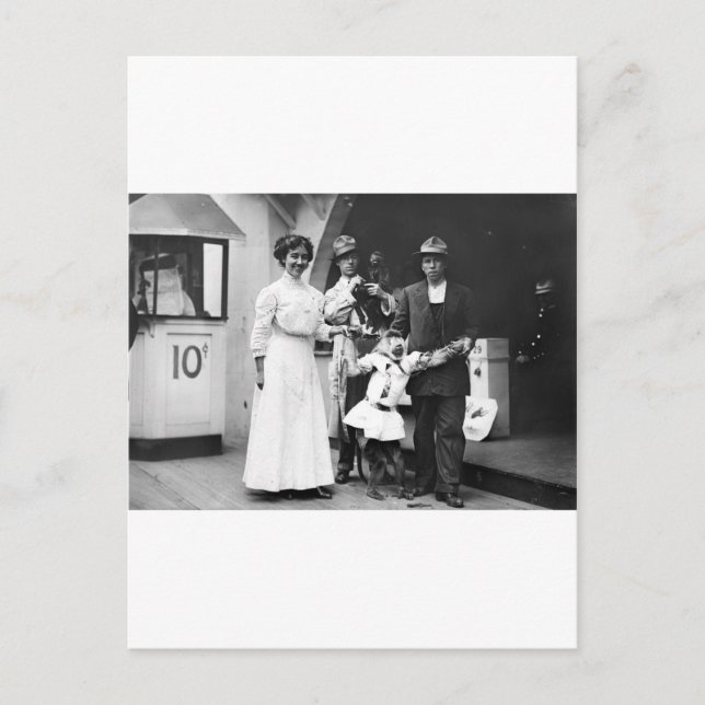 Carte Postale Coney Island Monkey Business (Devant)