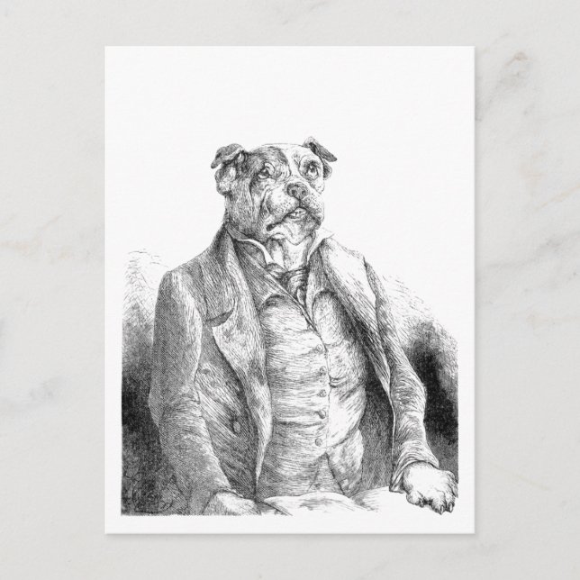 Carte Postale "Conférence canine" (Devant)