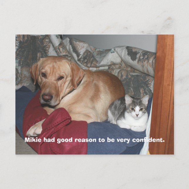 Carte Postale Confiance (Devant)