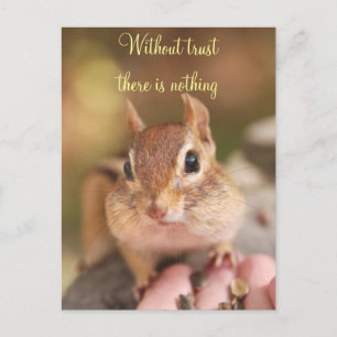 Carte Postale Confiance à Chipmunk