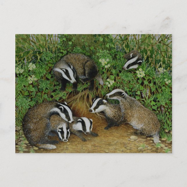 Carte Postale Configuration (Devant)