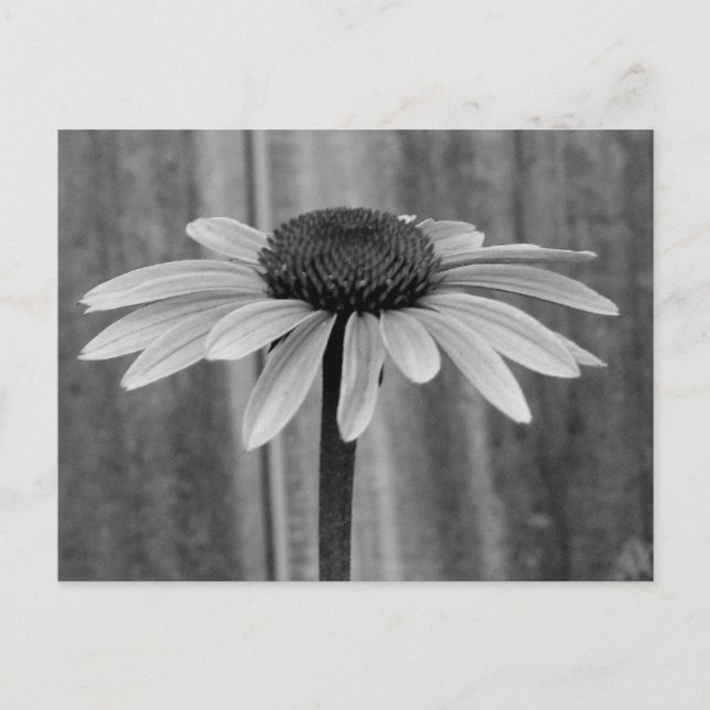 Carte Postale Confleur (Devant)