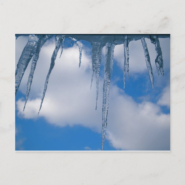 Carte Postale Congelé (Devant)