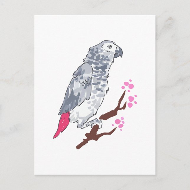 CARTE POSTALE CONGO AFRICAN GRAY PARROT (Devant)