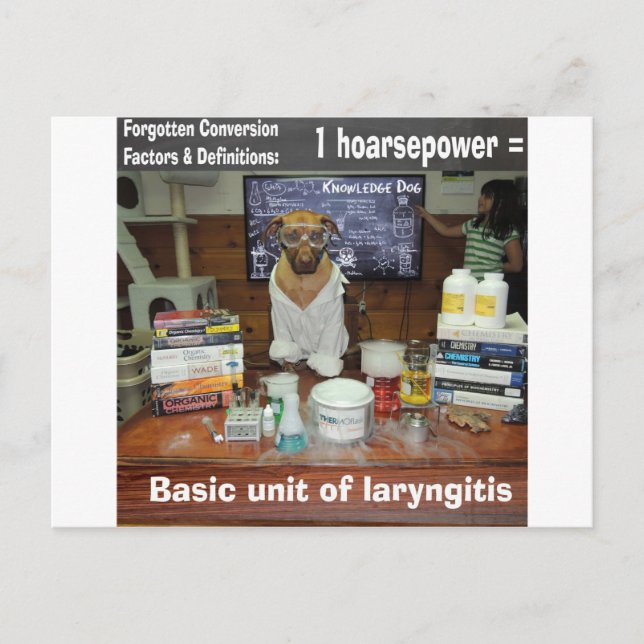 Carte Postale Connaissance Chien Conversions oubliées Hoarsepowe (Devant)