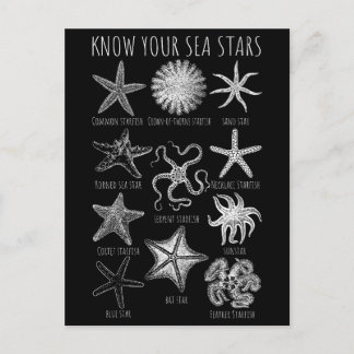 Carte Postale Connaissez vos étoiles de mer - Groupes Starfish